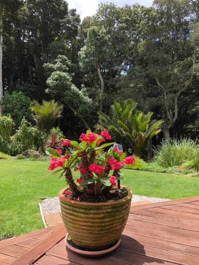 N.Z Country Home Whangarei Eksteriør bilde